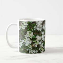 Taza De Café Los helechos en el Parque Nacional del Glaciar, Mo