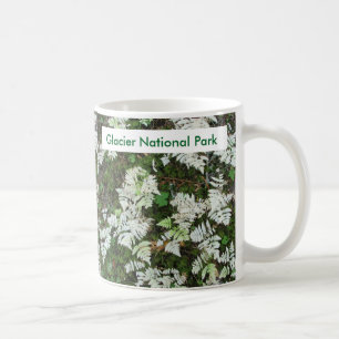 Taza De Café Los helechos en el Parque Nacional del Glaciar, Mo