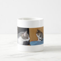 Los jóvenes y el viejo