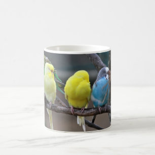 Taza De Café Los Parakeets coloridos brillantes Budgies repiten