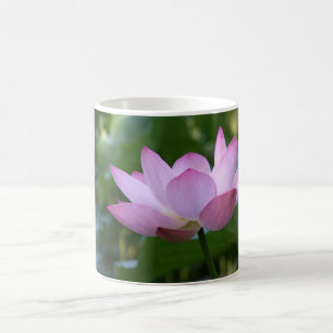 Taza De Café Lotus