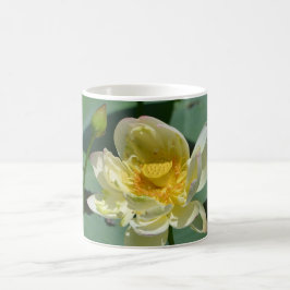 Taza De Café Lotus Blossom