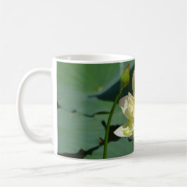 Taza De Café Lotus Blossom