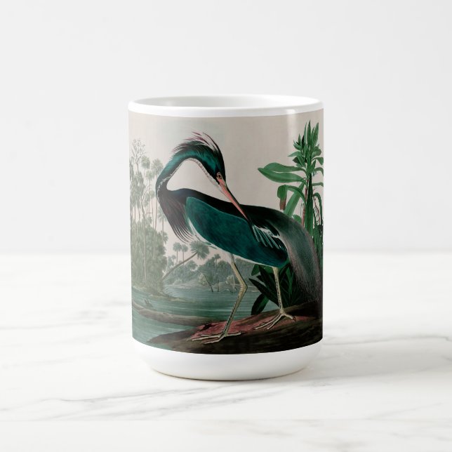 Taza De Café Louisiana Heron Birds of America Audubon Print (Centro)