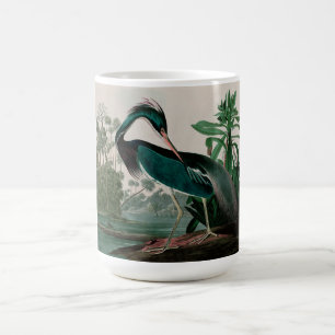 Taza De Café Louisiana Heron Birds of America Audubon Print