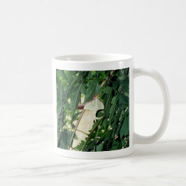 Taza De Café Luna Moth