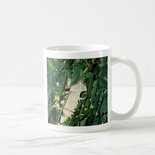 Taza De Café Luna Moth (Derecha)