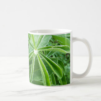Taza De Café Lupin deja fotografía botánica