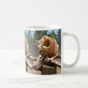 Taza De Café Lynx cats