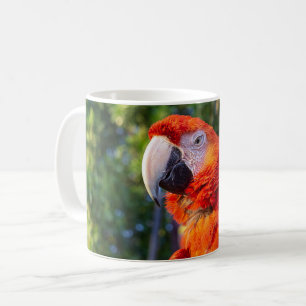 Taza De Café Macaw Bird