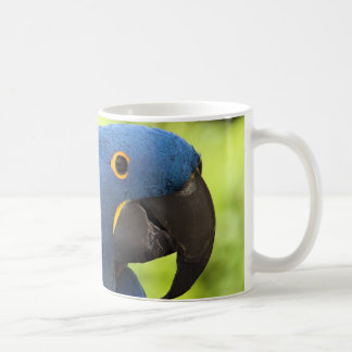 Taza De Café Macaw del jacinto