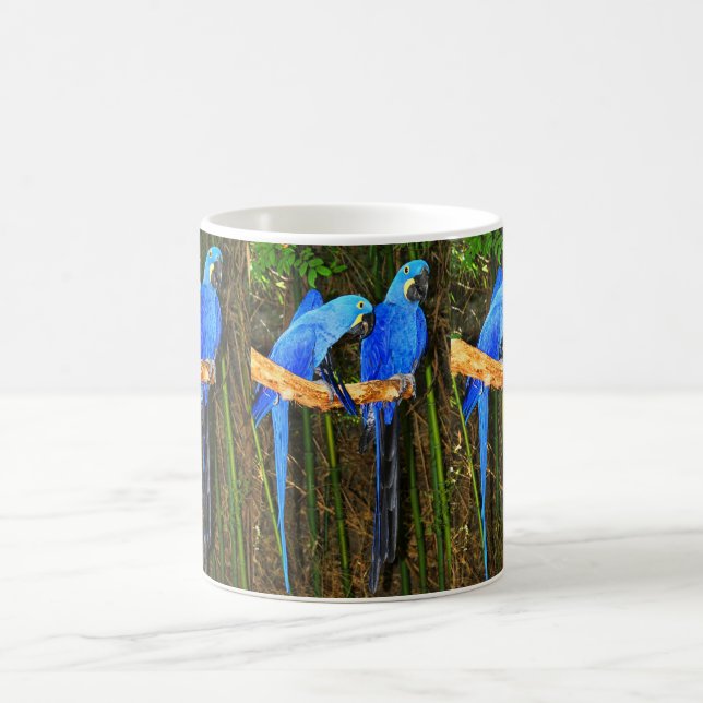 Taza De Café Macaws del jacinto (Centro)