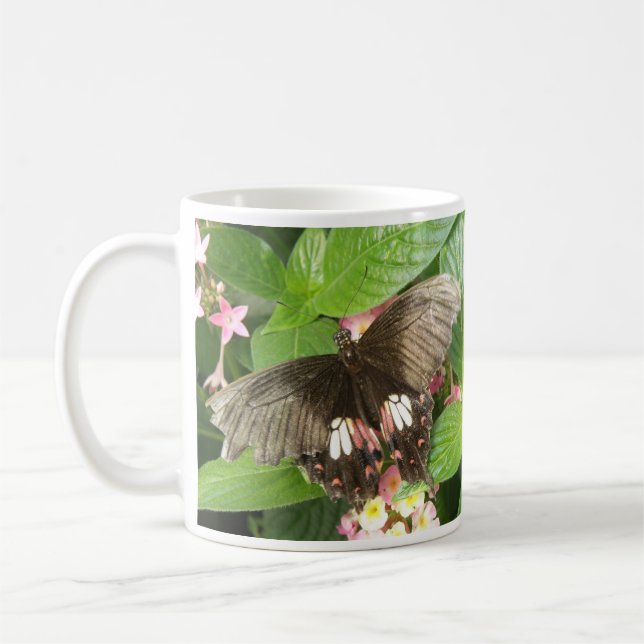 Taza De Café Macroceración de mariposa de cola de cerda (Izquierda)