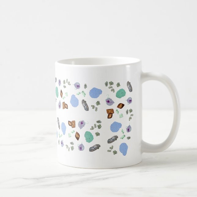 Taza de café - macropartículas de la orina (Derecha)