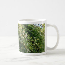 Taza De Café Madreselva en una pared