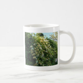 Taza De Café Madreselva en una pared