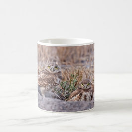 Taza De Café Madriguera de búhos