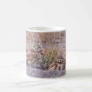 Taza De Café Madriguera de búhos