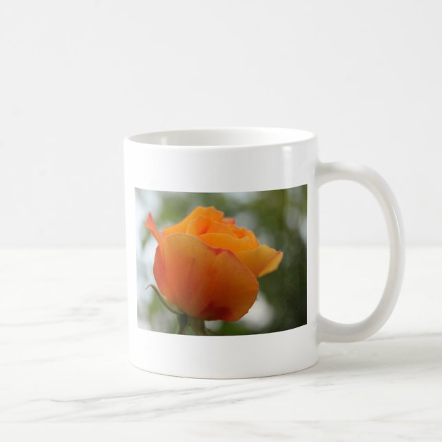 Taza De Café Magnífica fotografía de flores de rosa amarillo. (Derecha)