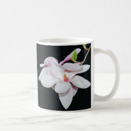 Taza De Café Magnolia blanca