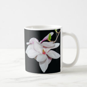Taza De Café Magnolia blanca