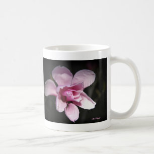 Taza De Café Magnolia de acero