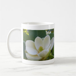Taza De Café Magnolias meridionales de CricketDiane