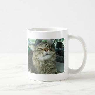 Taza De Café Maine Coon kitty