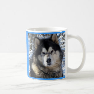 Taza De Café Malamute de Alaska
