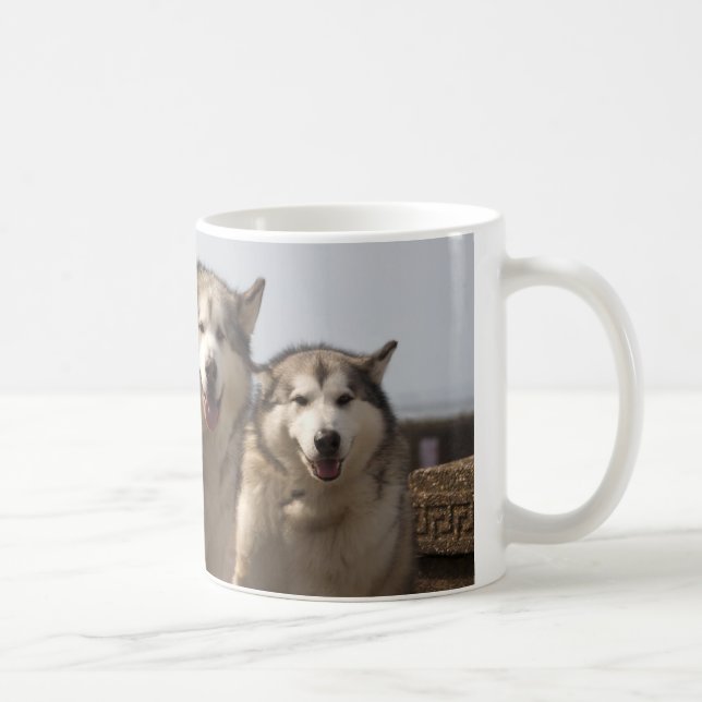 Taza De Café Malamutes de Alaska (Derecha)