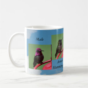 Taza De Café Male Ann'a Hummingbird Mug