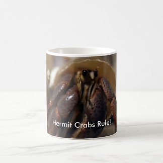 Taza De Café ¡malhumorado, regla de los cangrejos de ermitaño!