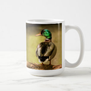 Taza De Café Mallard Duck