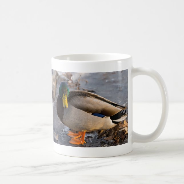 Taza De Café Mallard On Ice Coffee Mug (Derecha)