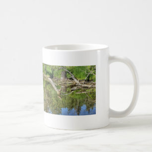 Taza De Café Mallard on Pond