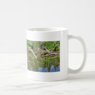 Taza De Café Mallard on Pond