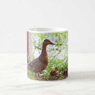 Taza De Café Mallard y Ducklings por Shirley Taylor