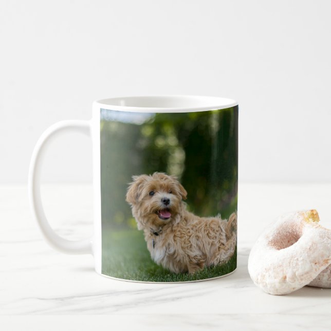 Taza De Café Maltipoo (Con donut)