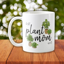 Mamá de Plantas Siempre Verdes Casa Plantas Botáni