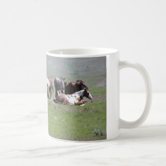 Taza De Café Manada del Pinto, Dakota del Sur