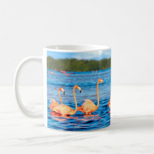 Taza De Café Manadas de hermosos flamencos rosas en Celestun