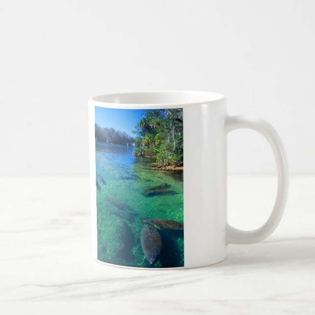 Taza De Café Manatees (Derecha)