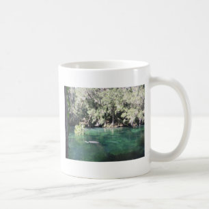 Taza De Café Manatíes en Blue Springs Florida