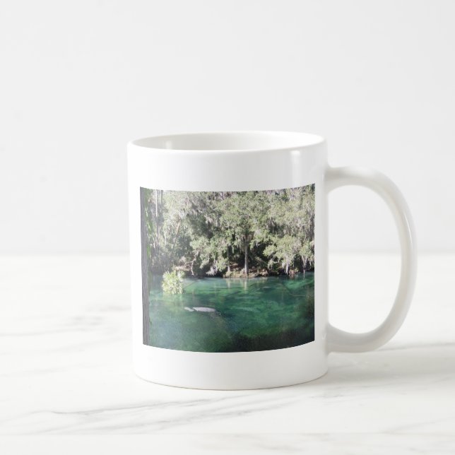 Taza De Café Manatíes en Blue Springs Florida (Derecha)