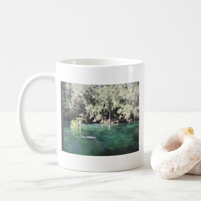 Taza De Café Manatíes en Blue Springs Florida (Con donut)