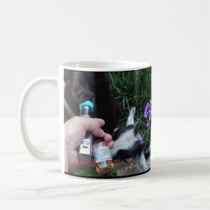 Taza De Café manchado