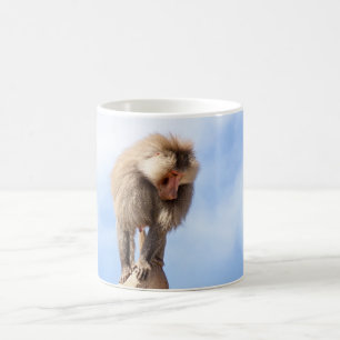 Taza De Café Mandríl majestuoso en la cima de la montaña