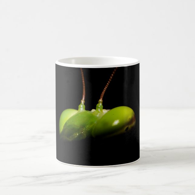 Taza De Café Mantis religiosa (Centro)