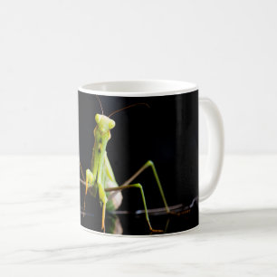 Taza De Café Mantis rezando