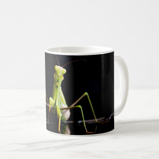 Taza De Café Mantis rezando (Anverso derecho)